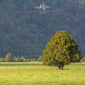 上天揽月 (冥想瑜伽太极古琴曲)