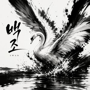 백조 (SWAN)