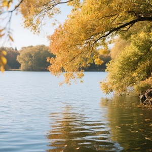 风拂秋水泛清波