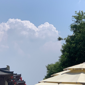 梦中