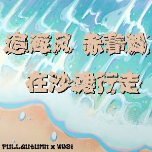 追海风赤着脚在沙滩行走（prod.by Morrow）