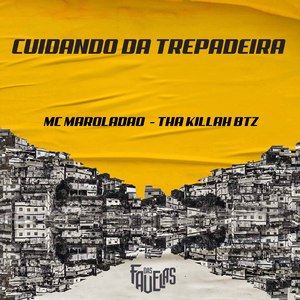 Cuidando da Trepadeira