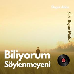 Biliyorum Söylenmeyeni
