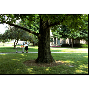 色褪せた思い出 (feat. ユカ) [kaisaku Studio ver]