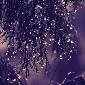 抚慰的放松的回忆