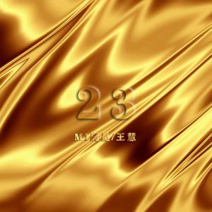 23