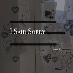 I Said Sorry