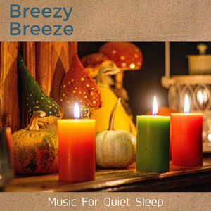 Embrace of the Soft Night