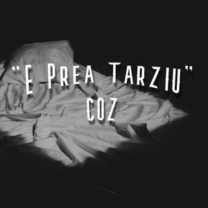 E Prea Tarziu