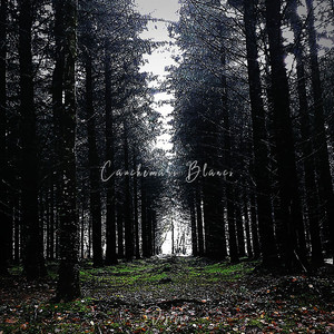 Cauchemars blancs