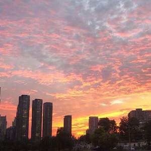 余晖（一直都在的demo）