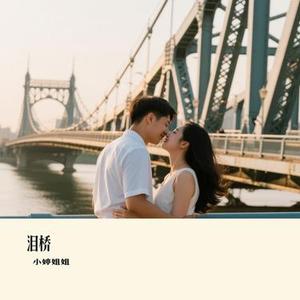 泪桥 (Cover 云汐)