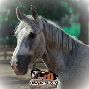 No Me Comparo Con Nadie