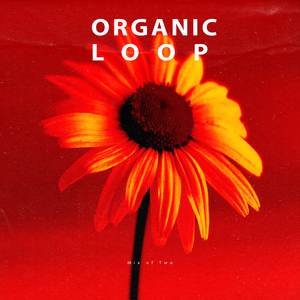 Layers (Big Bunny Dub Remix)