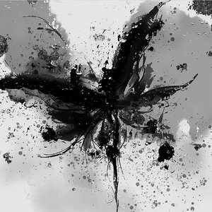 letting go（光遇吉他版）