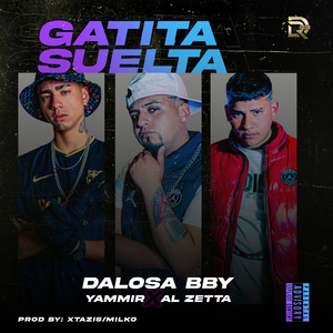 Gatita Suelta