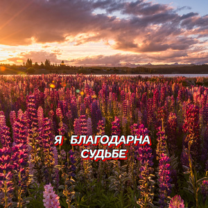 Я БЛАГОДАРНА СУДЬБЕ