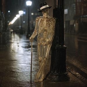 Skeleton