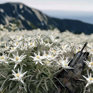 Новий день (акустична версія)
