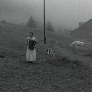 Cardiopulmonary Arrest