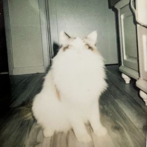 孤独才是我的救赎