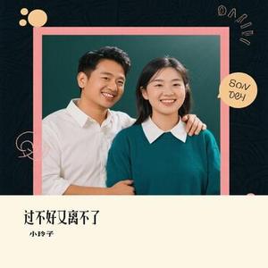 过不好又离不了