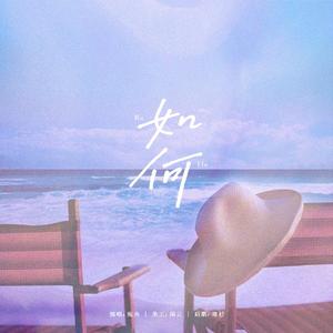 如何（翻自 pp）