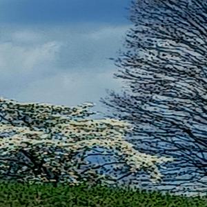 trotventurs1 devinted