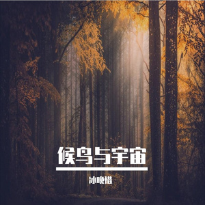 候鸟与宇宙