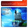 Kenny Palmer - Raven Hill (Metta & Glyde Remix - Radio Edit)