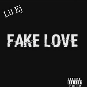 Fake Love