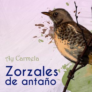 Estoy Enterrao En Via