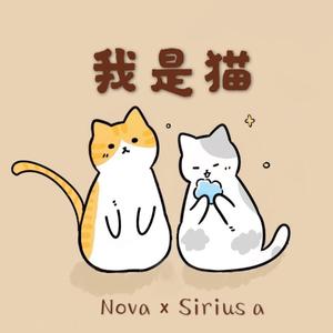 我是猫