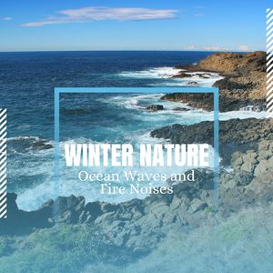 Staring in the Winter