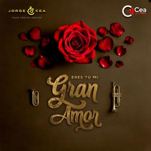 eres tu mi gran amor