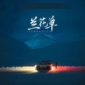 兰花草 (我从山中来) 天津李四