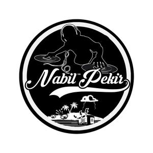 TERBUAI BAYANGANMU