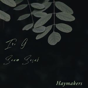 Haymakers (feat. Soam Sosah)