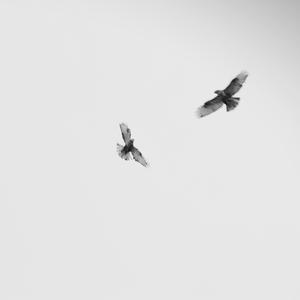 思念是一种病（沈奕洋/林圣克/施博威）（翻自 张震岳）