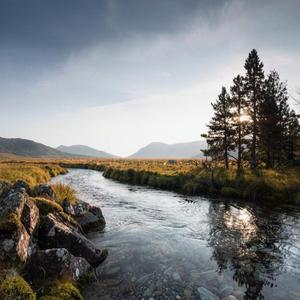 孤单北半球（云北版)