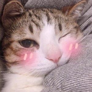 甜蜜暴击(prod.by天花)