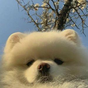 二十岁的某一天