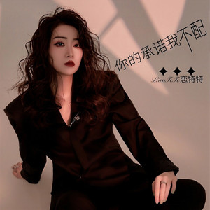 你的承诺我不配