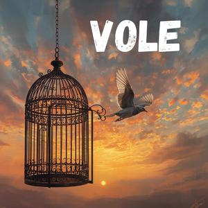 Vole