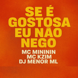 SE É GOSTOSA EU NÃO NEGO