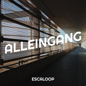 Alleingang