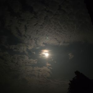 星茧