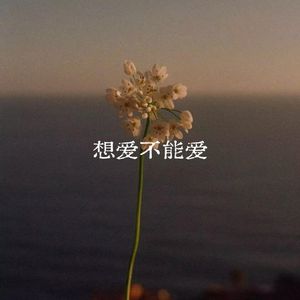 想爱不能爱