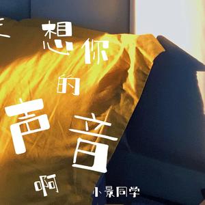是想你的声音啊（男生版）
