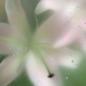 We Should Have Said It